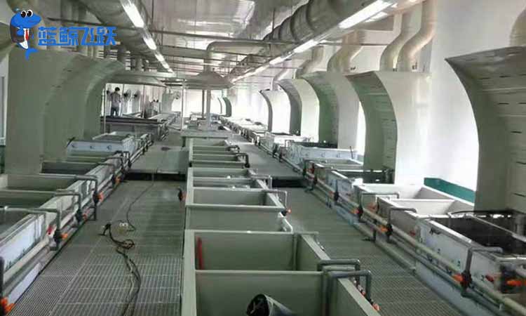 黄瓜视频看片价格是多少？可以在哪些行业使用？