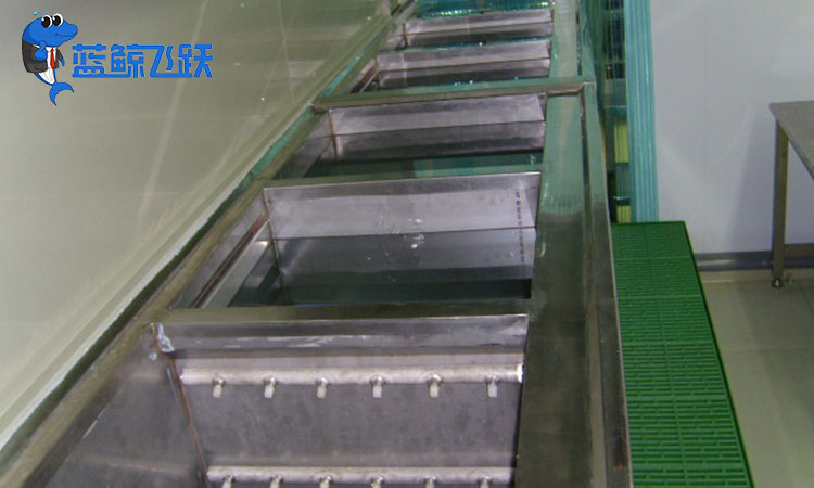 黄瓜视频看片：精密清洗新时代的独特利器