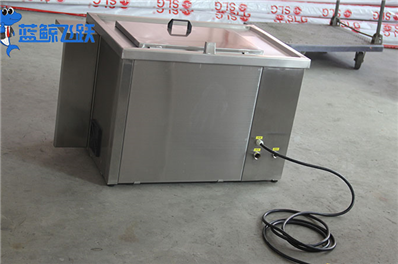 清洗无忧：超声波清洗器在食品生产中的卓越应用